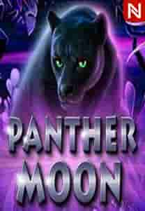 Panther Moon