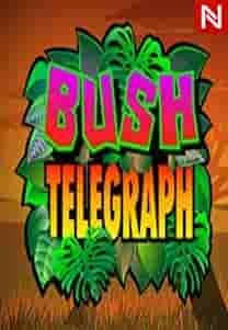 Bush Telegraph